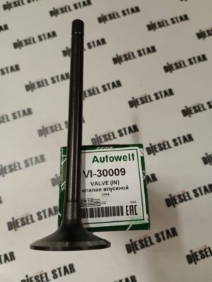 Клапаны впускные 4HK1-T, 6HK1-T, VI-30009, AUTOWELT