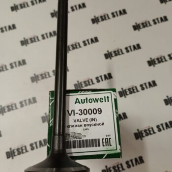 Клапаны впускные 4HK1-T, 6HK1-T, VI-30009, AUTOWELT