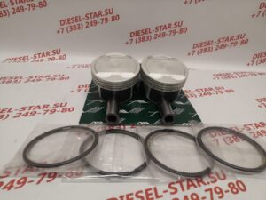 Поршень G4KD с кольцами, комплект 4 шт., 0.50, PN-32661, AUTOWELT