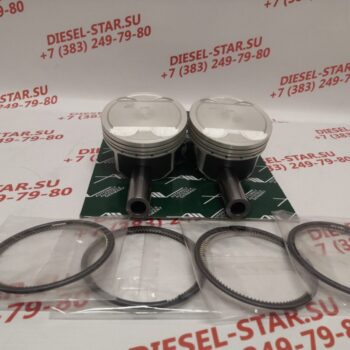 Поршень G4KD с кольцами, комплект 4 шт., 0.50, PN-32661, AUTOWELT