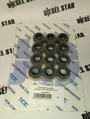Колпачек м/с 13719-1030, AV8160-P0, NOK