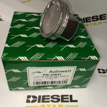 Поршень с кольцами G4NA, 0.5, PN-32651 AUTOWELT