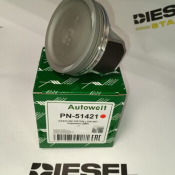 Поршни CFNA, CFNB, 0,5, PN-51421, AUTOWELT